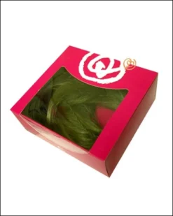 Rene Of Paris Magic Beauty Hair Piece Clearance Items 7 Rene Of Paris Magic Beauty Hair Piece Clearance Items