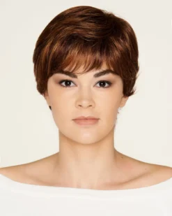 Wigs For Women Missouri | Monofilament Synthetic Wig By Dream USA