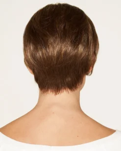 Wigs For Women Reno | Lace Front & Monofilament Synthetic Wig By Dream USA