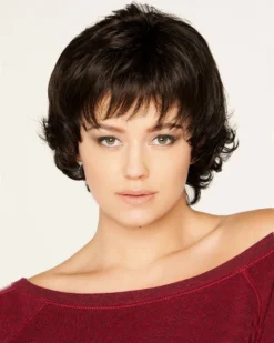 Wigs For Women Tucson | Lace Front & Monofilament Synthetic Wig By Dream USA