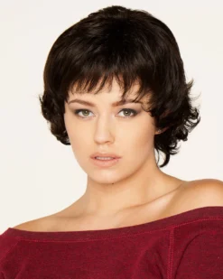 Wigs For Women Tucson | Lace Front & Monofilament Synthetic Wig By Dream USA