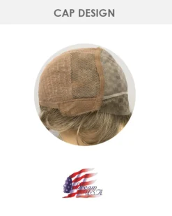 Wigs For Women Tucson | Lace Front & Monofilament Synthetic Wig By Dream USA