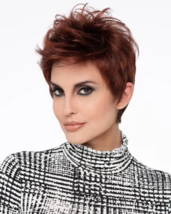 Wigs For Women Raven | Lace Front Synthetic Wig By Envy