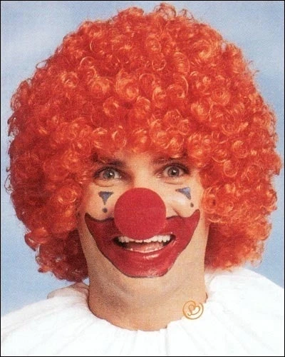 Franco Costume Wigs Economy Afro Costume Wig By Franco 3 Franco Costume Wigs Economy Afro Costume Wig By Franco