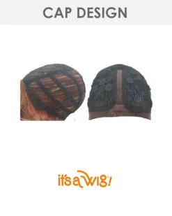 Swiss Lace Delaware | Lace Front & Lace Part Synthetic Wig By It's A Wig Wigs For Black Women