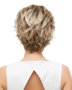 Robin-Petite | Monofilament Synthetic Wig By Jon Renau Wigs For Women