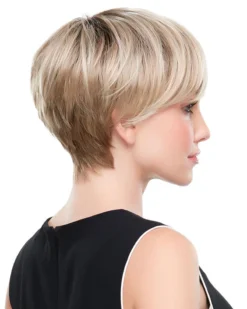 Evan | Lace Front & Monofilament Crown Synthetic Wig By Jon Renau Wigs For Women