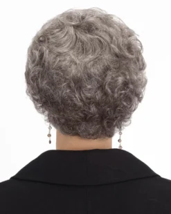 Erica | Monofilament Synthetic Wig By Louis Ferre Wigs For Women