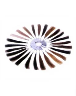 Men's HH Color Ring By Leading Man