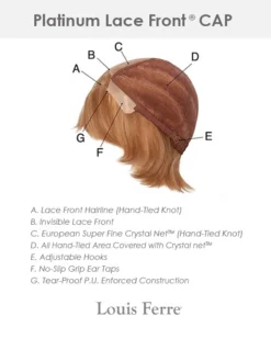 PLF007HM | Lace Front & Monofilament Human Hair Wig By Louis Ferre