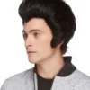 Elvis By Sepia Costume Wigs Clearance Items 1 Elvis By Sepia Costume Wigs Clearance Items