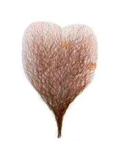 Chest Human Hair By Sepia Costume Wigs